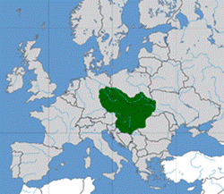 https://upload.wikimedia.org/wikipedia/commons/thumb/9/98/Great_moravia_svatopluk.png/250px-Great_moravia_svatopluk.png